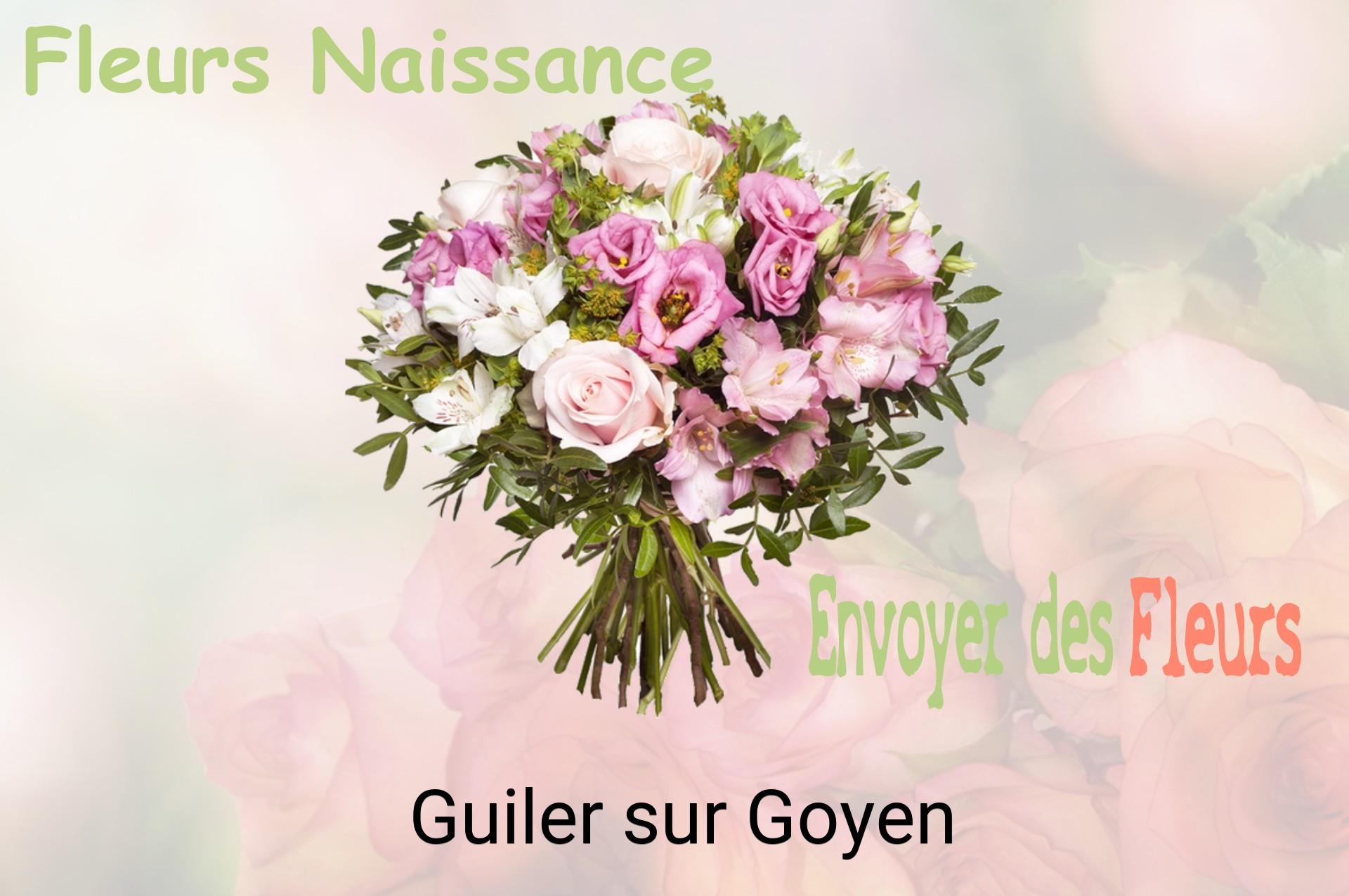 Bouquet de fleurs de naissance livré à Guiler-sur-Goyen